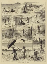 Small Sport in India